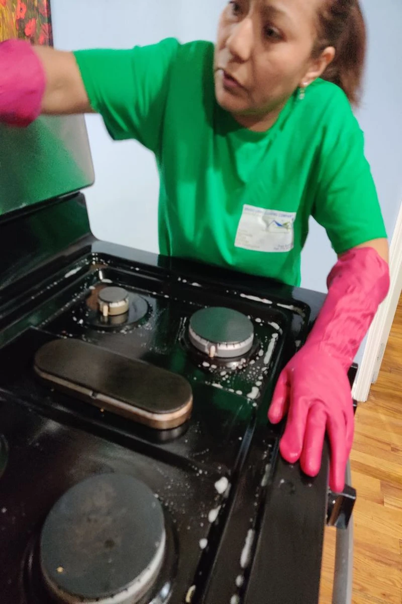 Bright Light Cleaning Services's other services