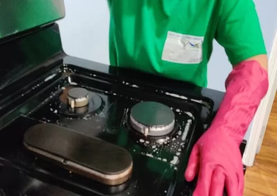 Professional Cleaning Services